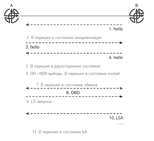 Рис. 1 Формирование соседей OSPF