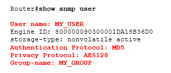 show snmp user
